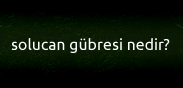 Solucan Gübresi Nedir?